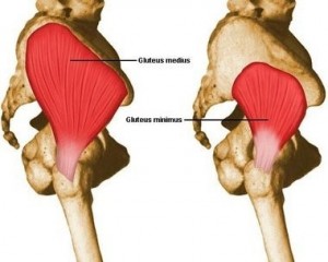 glutes2