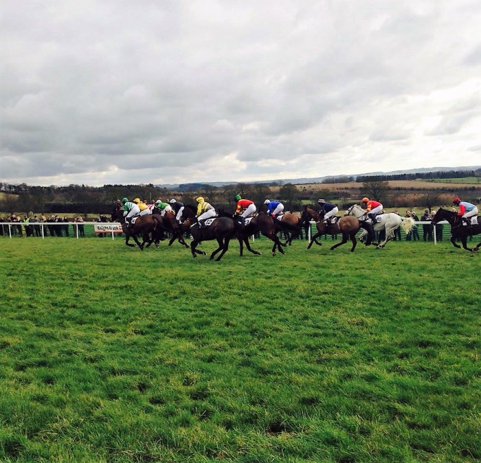 Physiotherapists support point-to-point at Corbridge