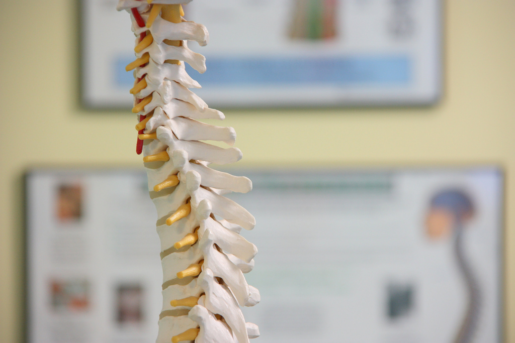 The slipped disc – Can it be managed osteopathically?