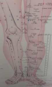 Acupuncture 3rd session diagrams