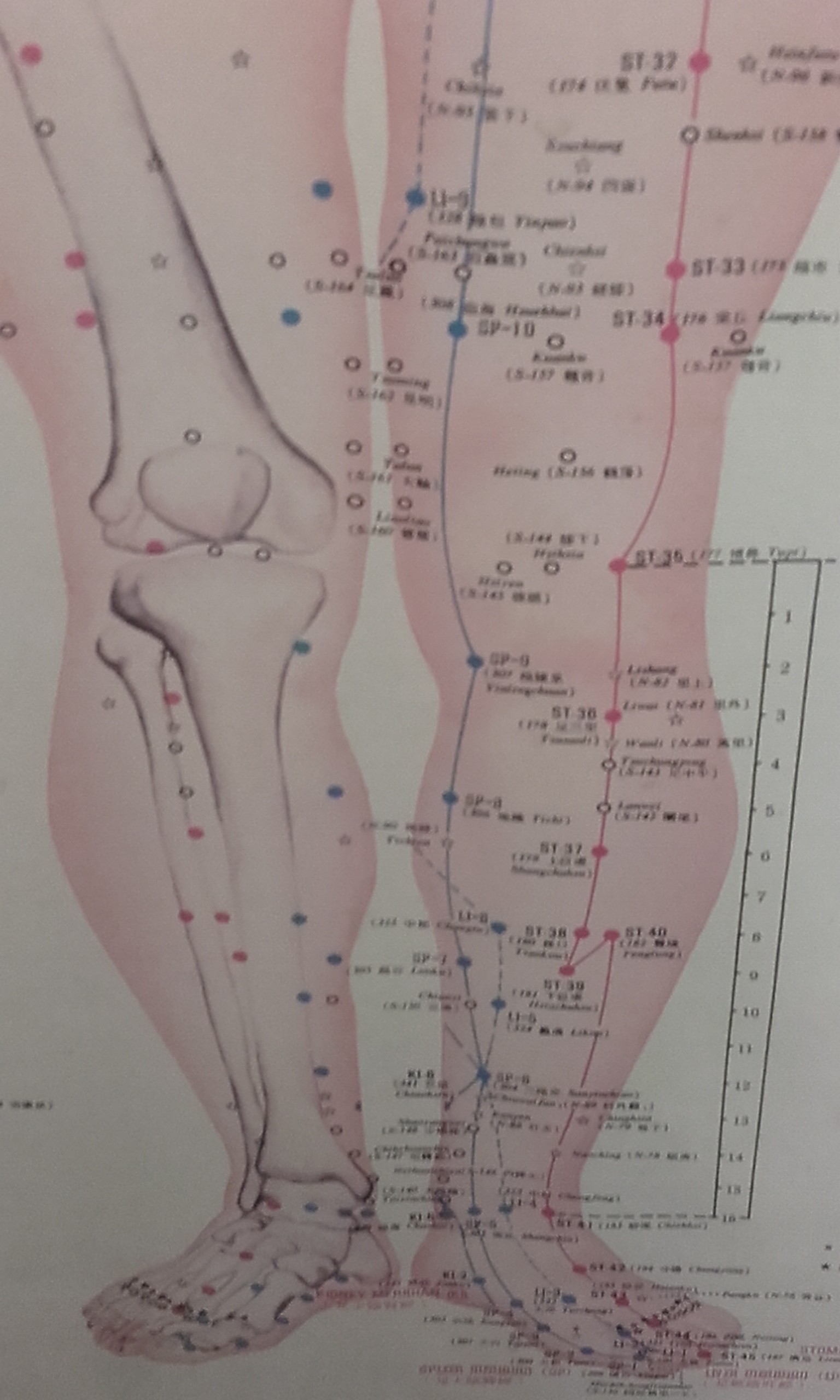 Acupuncture – A Patient’s Perspective – Third Session