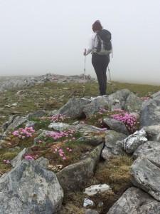 Challenging terrain meant introducing walking poles to their kit bags.