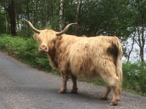 It wasn't just the weather Carol and Vera had to deal with on their many trips to Scotland.