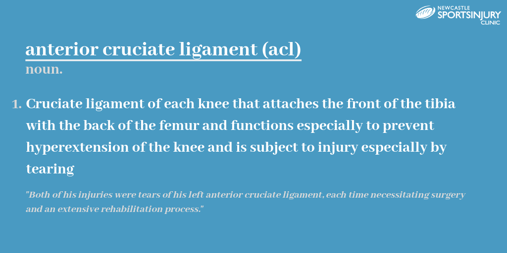 WHAT IS THE ANTERIOR CRUCIATE LIGAMENT?